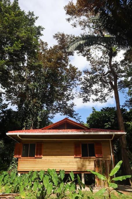Jungle Beach 2 Bedroom Cottage Bocas Town Exterior foto