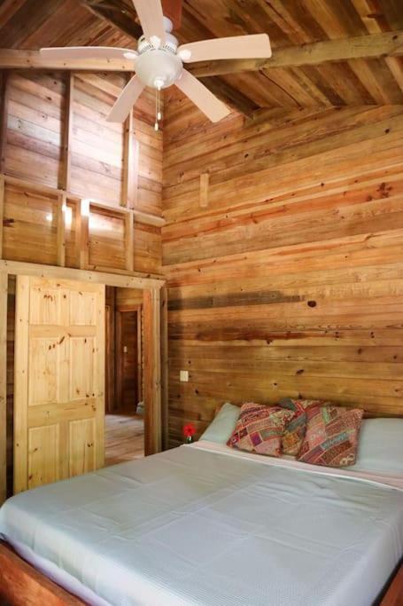 Jungle Beach 2 Bedroom Cottage Bocas Town Exterior foto