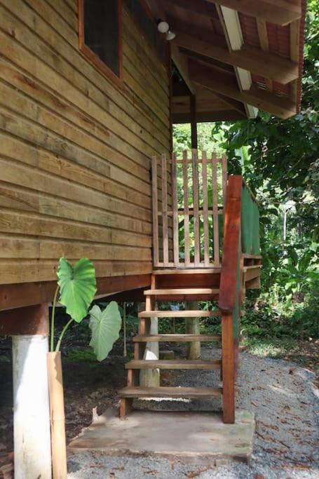 Jungle Beach 2 Bedroom Cottage Bocas Town Exterior foto